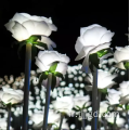 Lumière de fleurs artificielles de rose